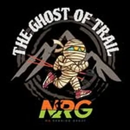 Geng NRG logo